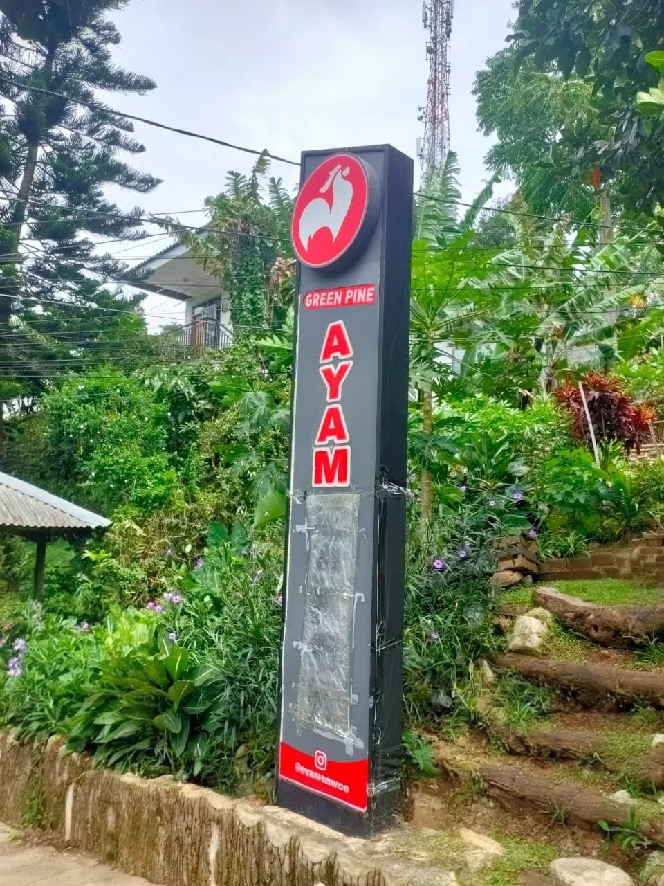 Kisah Green Pine Bandung: Konsep “Healing” Murah dengan Napas Ekonomi Warga Lokal