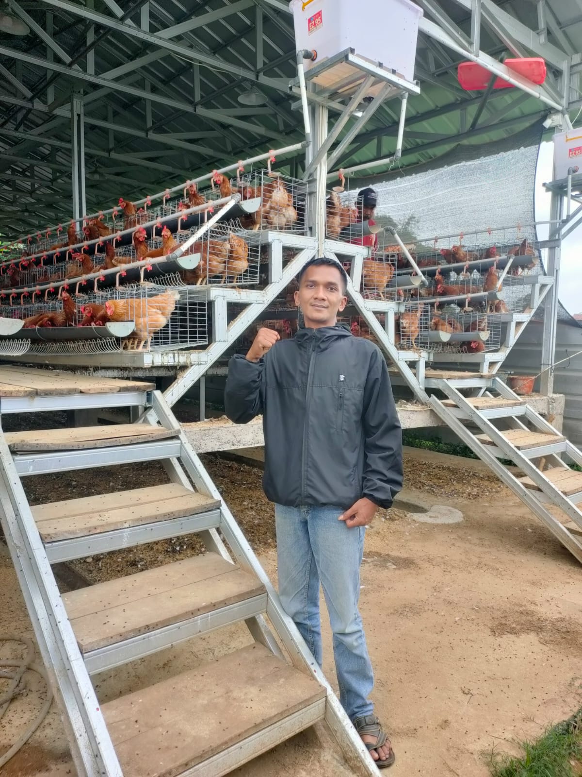 BUMDes Berkah Cihampelas Kembangkan Ayam Petelur, Dukung Ketahanan Pangan dan Manfaatkan Dana Desa