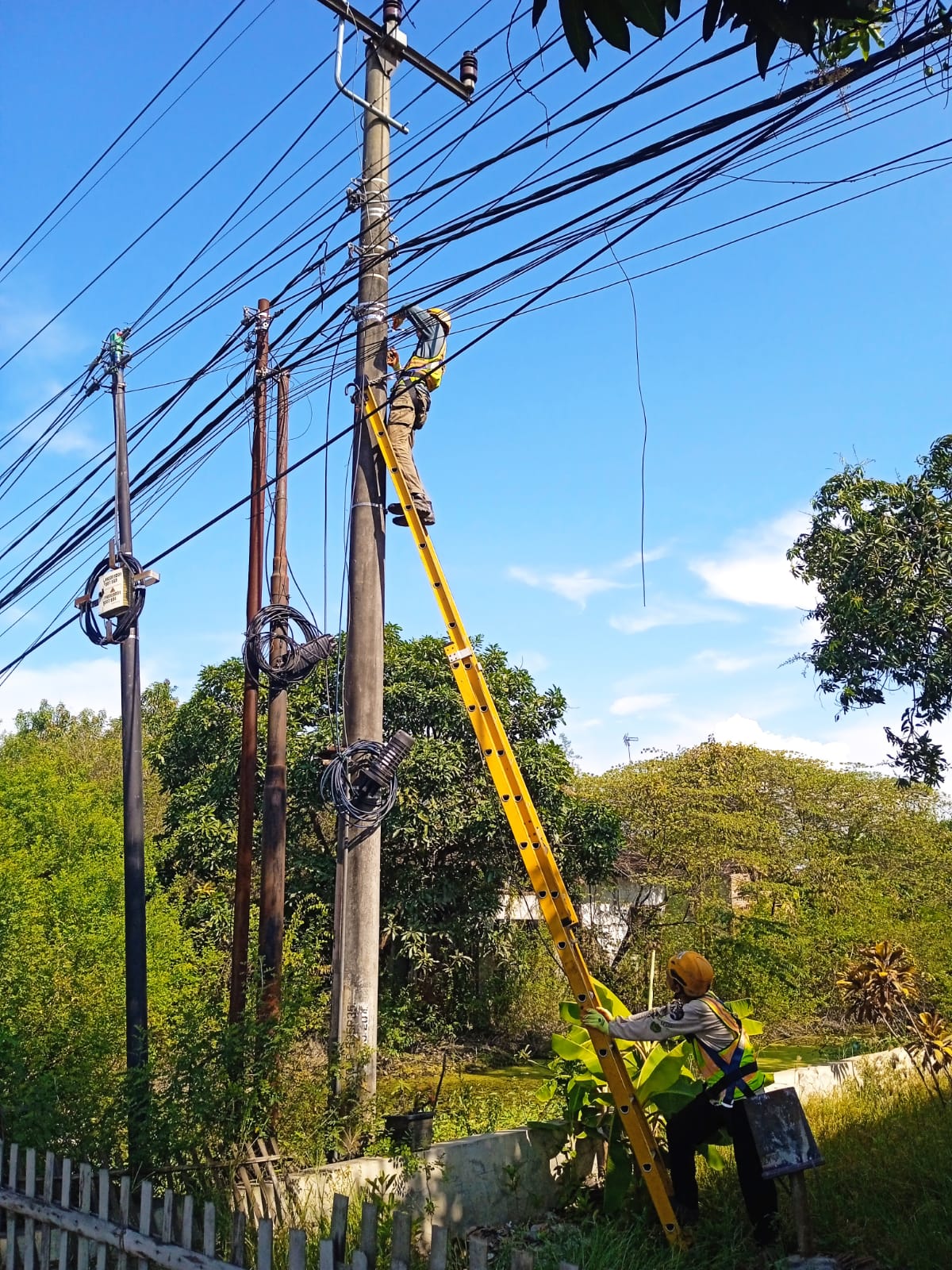 PLN Icon Plus Tingkatkan Pemeliharaan Jaringan Telekomunikasi Ketenagalistrikan di Subang
