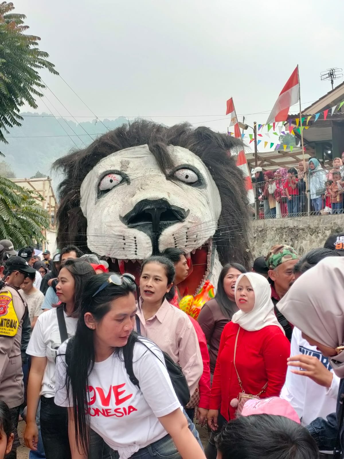 Karnaval Suntenjaya Hadirkan Budaya Lokal dan Suara Aspirasi Warga Menjelang HUT Ke-81 RI