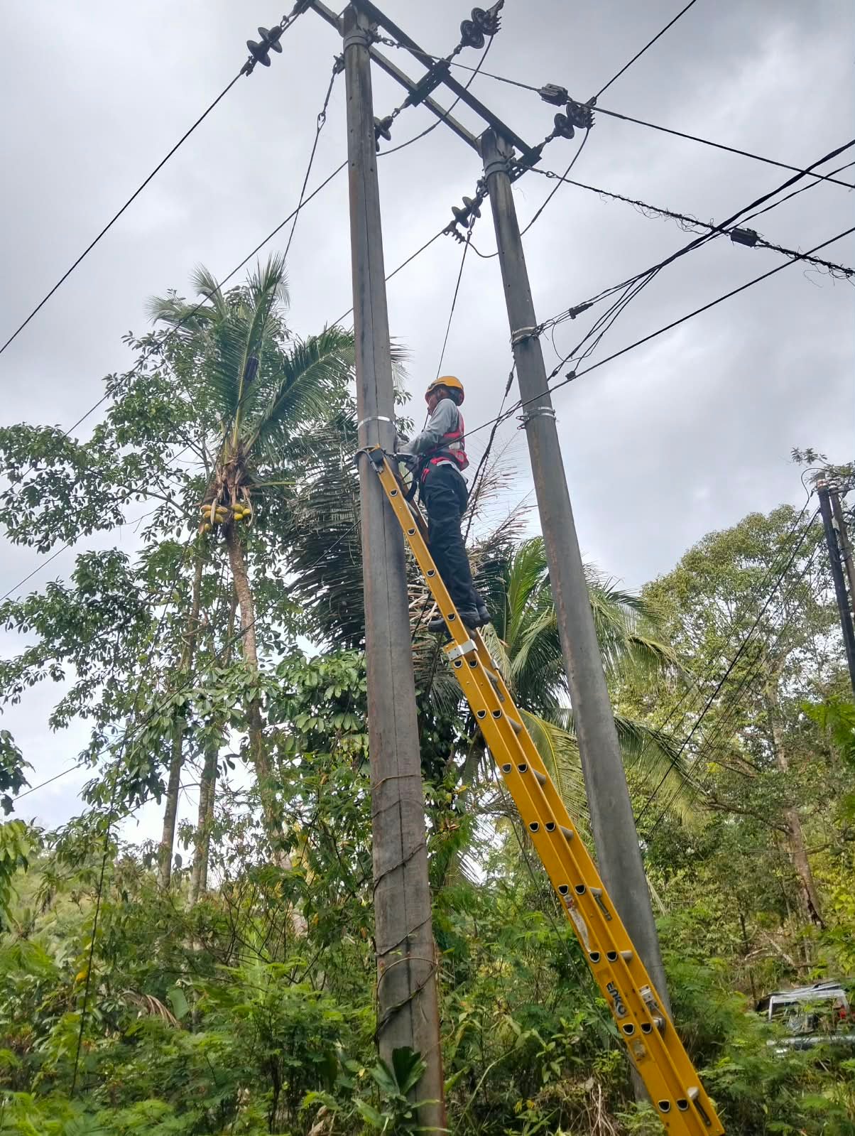 PLN Icon Plus Perkuat Penataan Infrastruktur Jaringan di Cikatomas untuk Jaga Keandalan Konektivitas